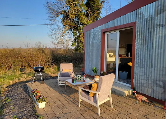 The Tin Shed